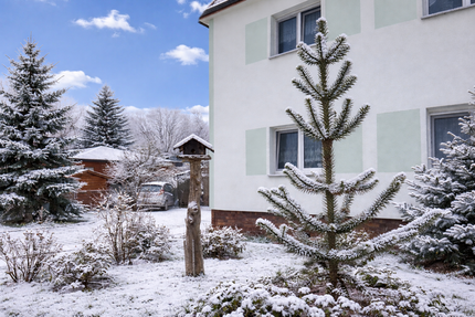 Haus zum Kaufen in Torgau 640.000 € 320 m² 15 zimmer