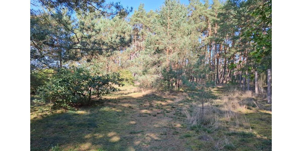 Einfamilienhaus Dömitz - 249.000&euro; | Angebot:26820100