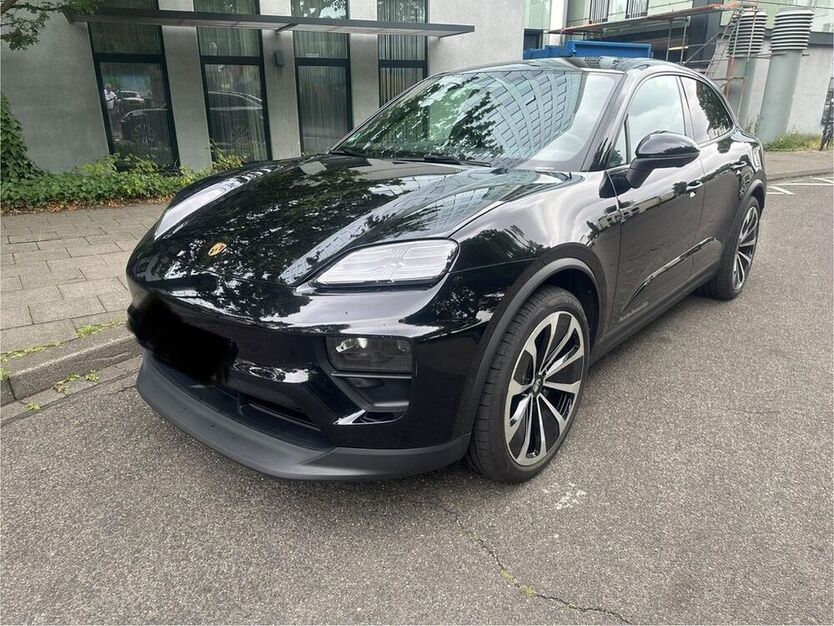 Macan