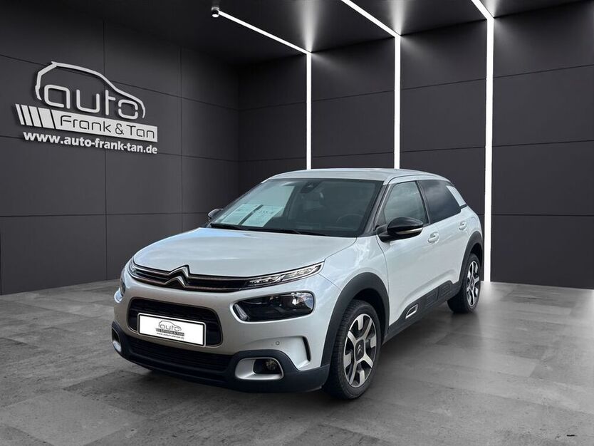 C4 Cactus