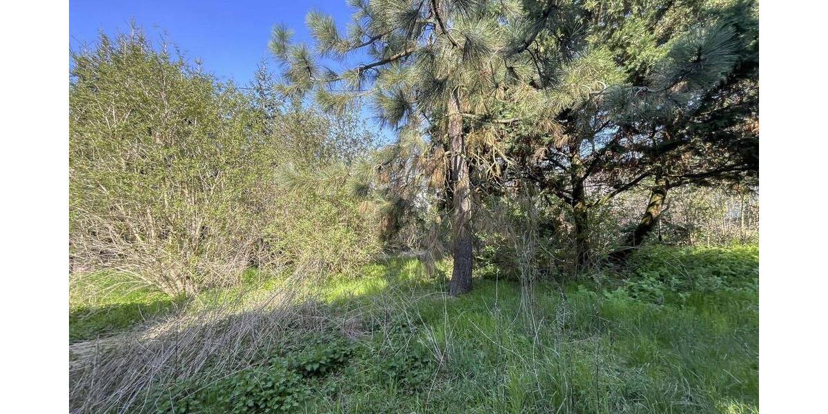 Grundstück Wittenberg Pratau - 20.000&euro; | Angebot:26658206