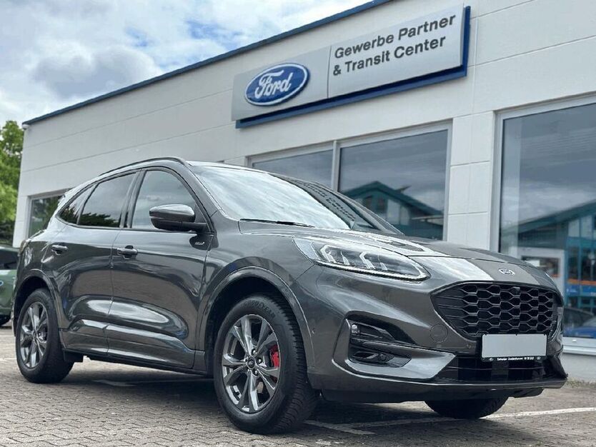Kuga