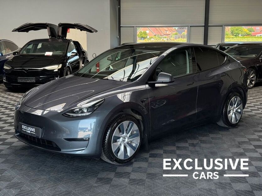 Model Y