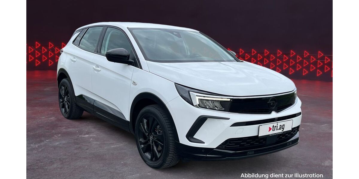 Opel Grandland (X) 104.888 km 19.470 &euro; Kippenheim 77971