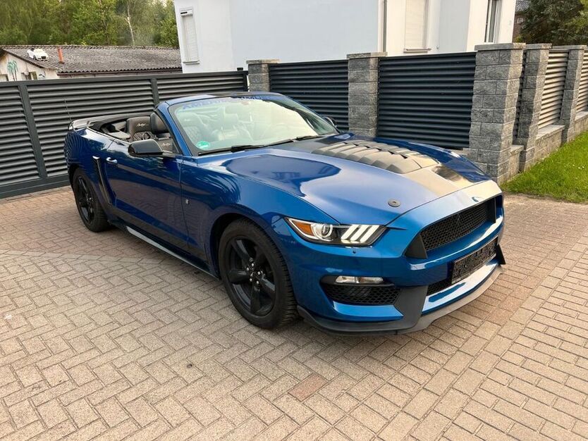 Mustang