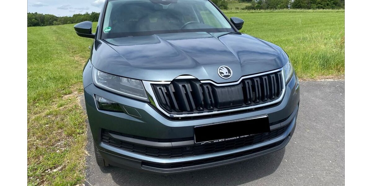 Skoda Kodiaq 138.632 km 16.500 &euro; Schalkau 96528