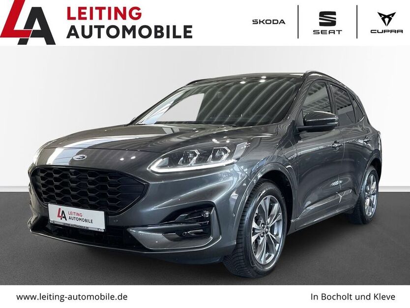 Kuga