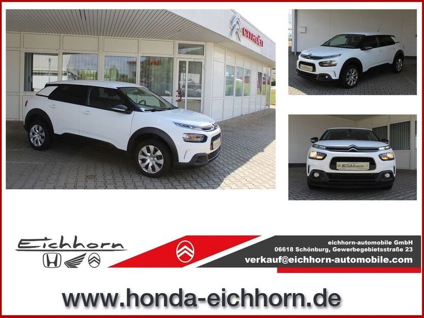 C4 Cactus