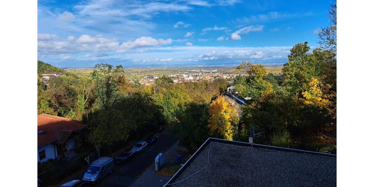 Etagenwohnung Bad Dürkheim - 2 Zimmer, 73 m&sup2;, 247.500&euro; | Angebot:25917825