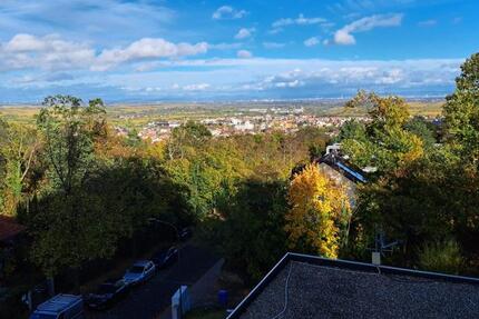 Wohnung Bad Dürkheim - 2 Zimmer, 73 m&sup2;, 247.500&euro; | Angebot:25917825