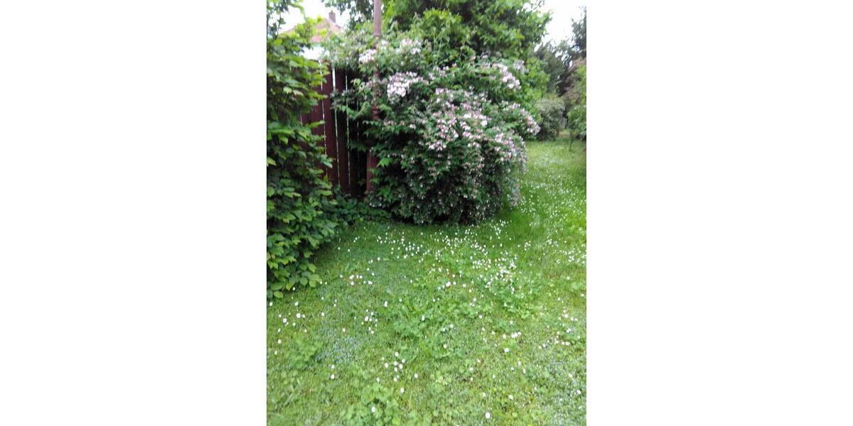 Einfamilienhaus Worms Innenstadt - 6 Zimmer, 150 m&sup2;, 508.000&euro; | Angebot:26555415