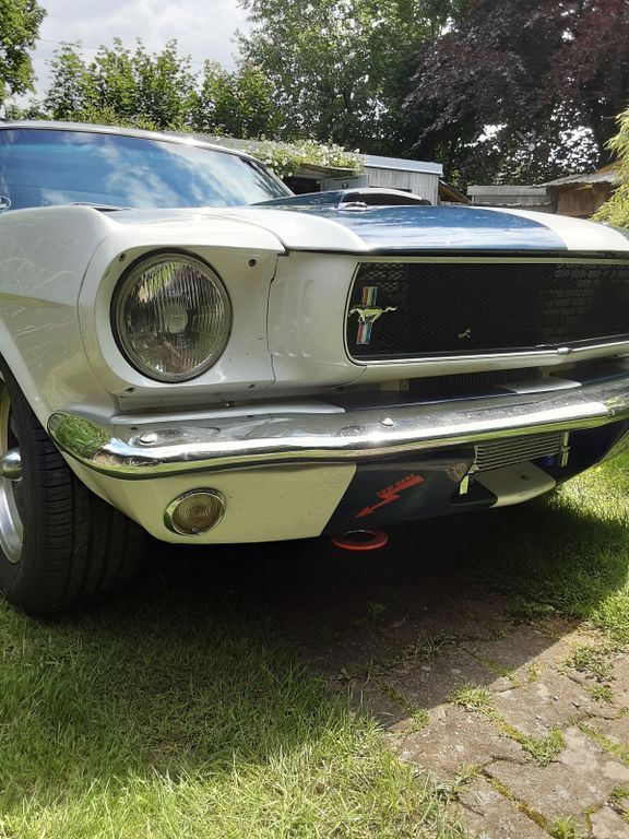 Mustang