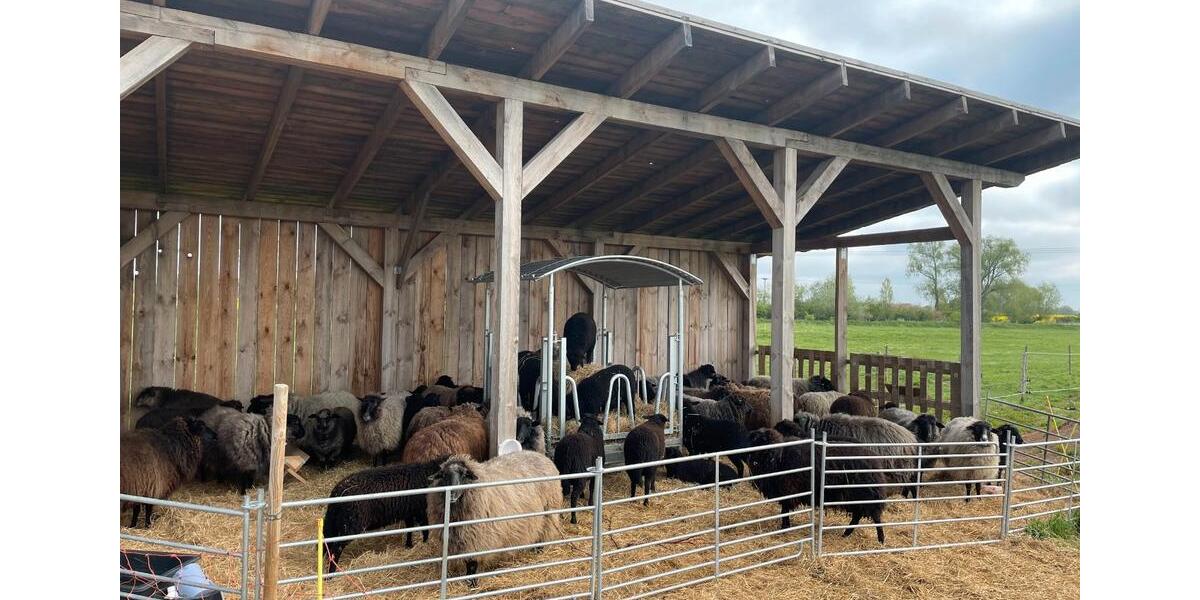 Gewerbeobjekt Greifswald - 1.500&euro; | Angebot:26477574
