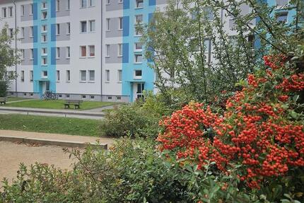 Wohnung Borna - 3 Zimmer, 58 m&sup2;, 347&euro; | Angebot:25861218