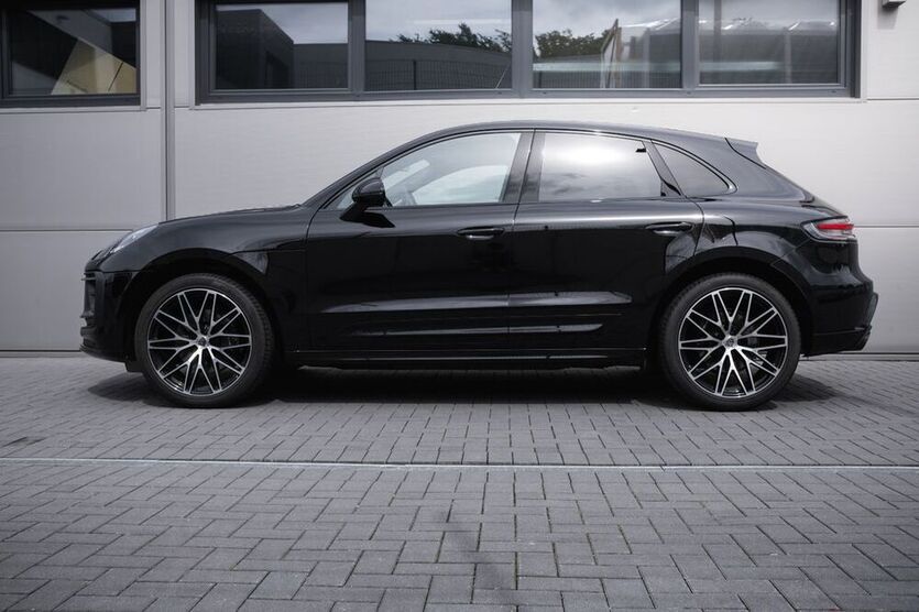 Macan
