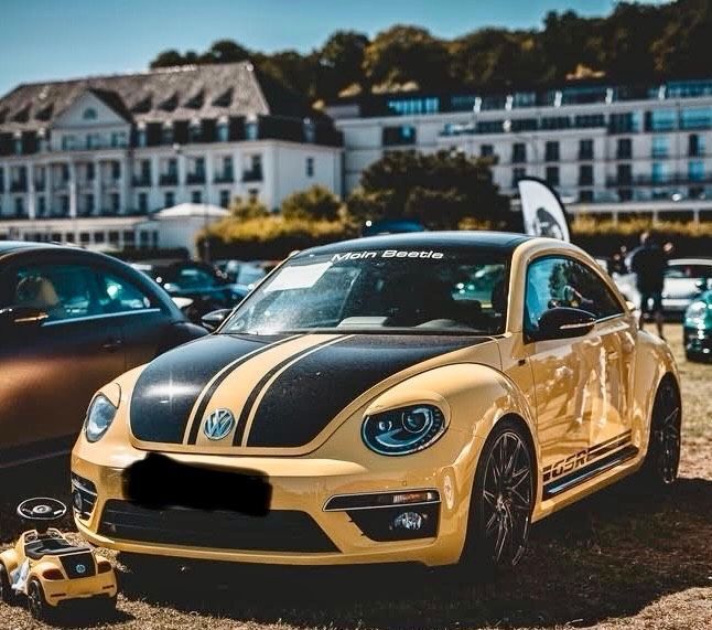 Beetle