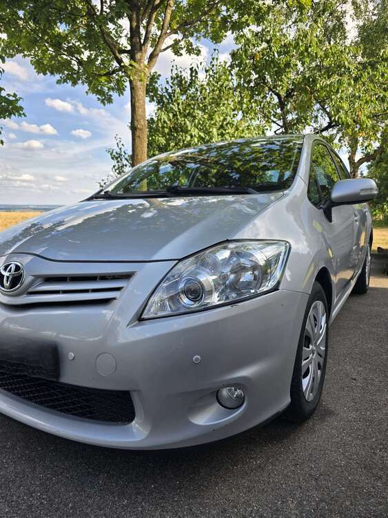 Auris