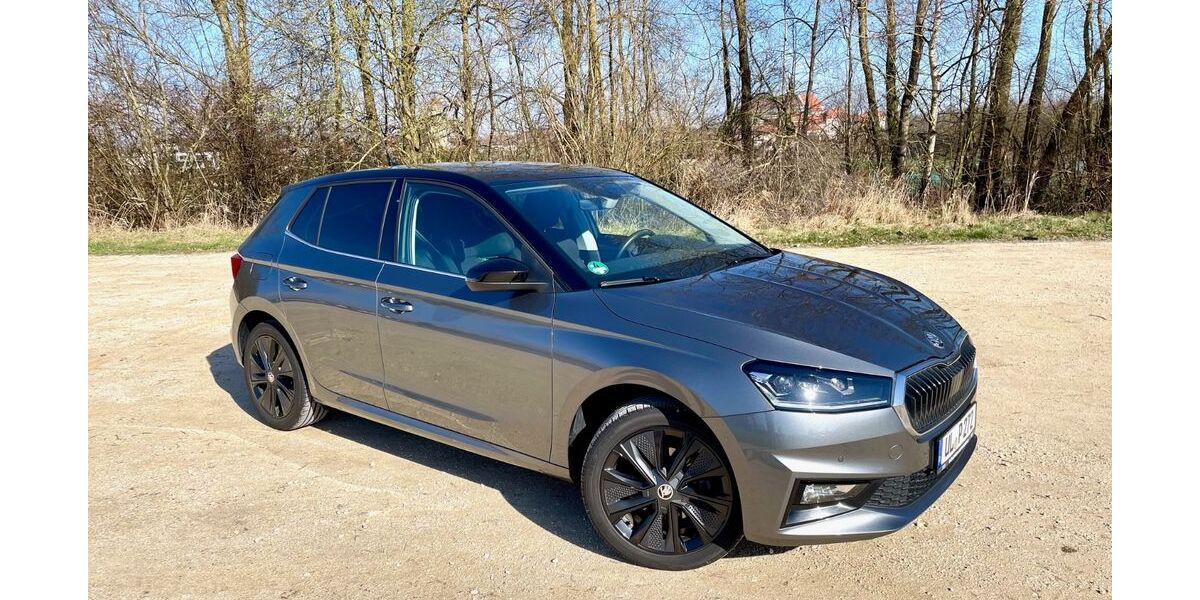 Skoda Fabia 25.000 km 16.900 &euro; Ulm 89079