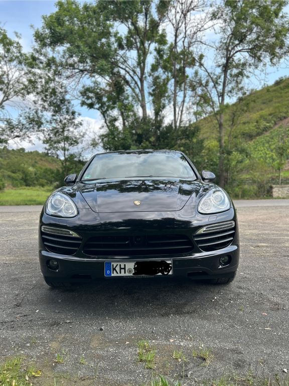 Cayenne