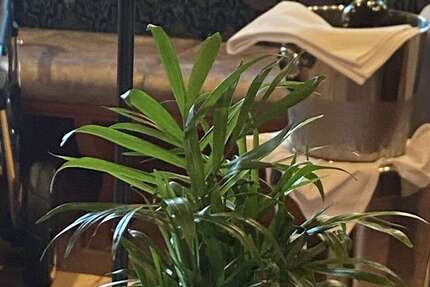 Gastronomie in Kelkheim 1.150.000 € 635 m² zimmer