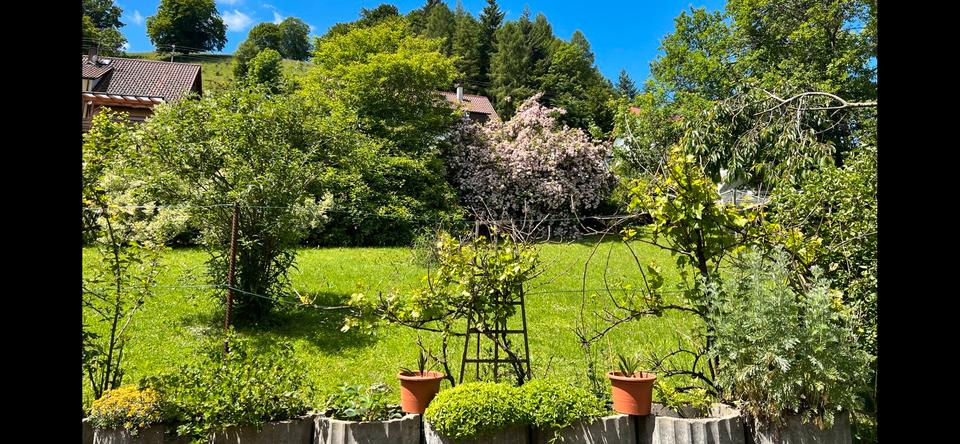 Einfamilienhaus Albstadt Gemarkung Onstmettingen - 5 Zimmer, 135 m&sup2;, 255.000&euro; | Angebot:26757146