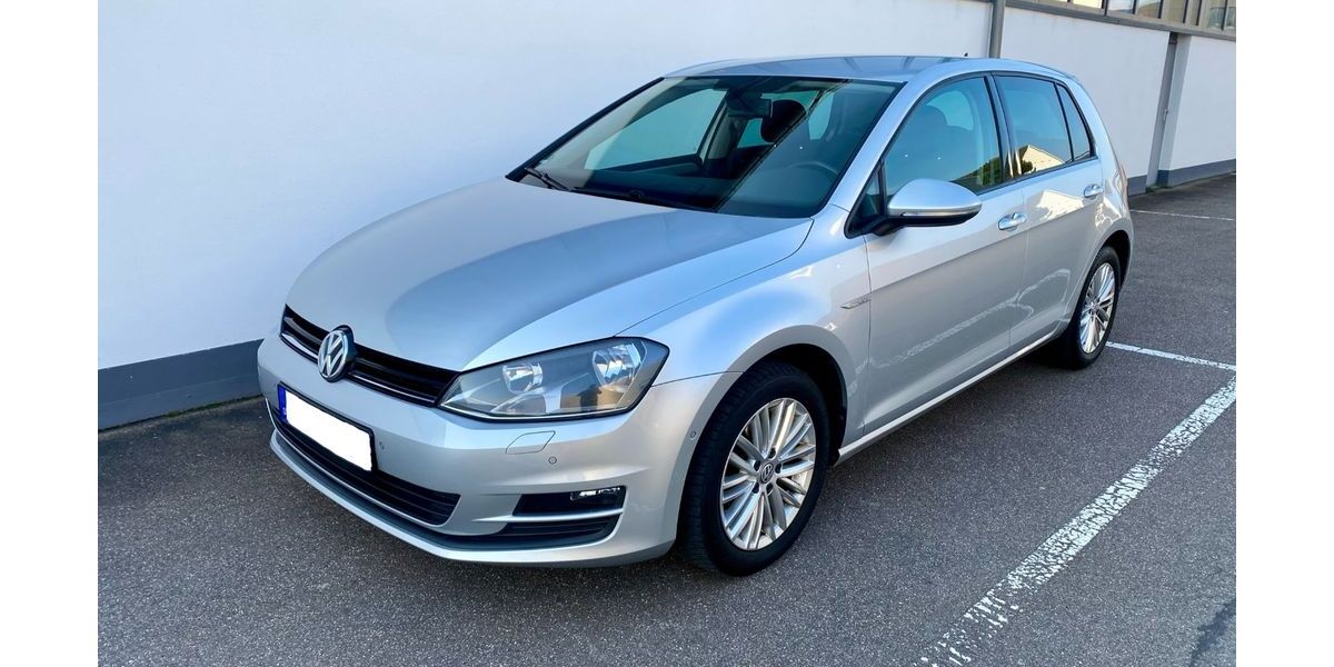 VW Golf 113.500 km 9.900 &euro; Freudenstadt 72250