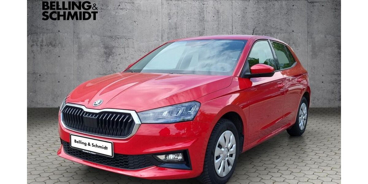 Skoda Fabia 41.900 km 14.880 &euro; Dannenberg 29451