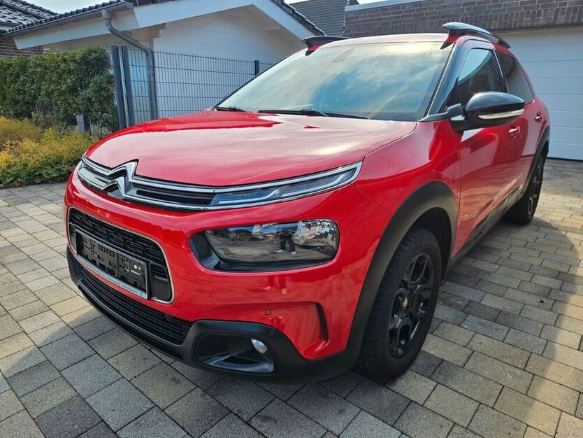 C4 Cactus