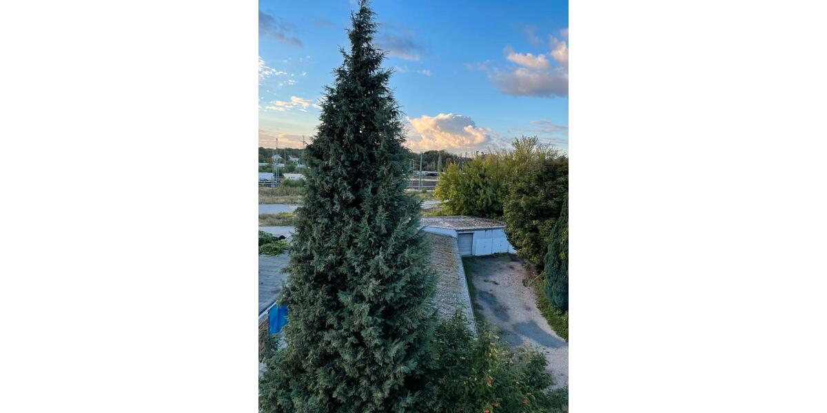 Etagenwohnung Düren - 3 Zimmer, 68 m&sup2;, 850&euro; | Angebot:24845532