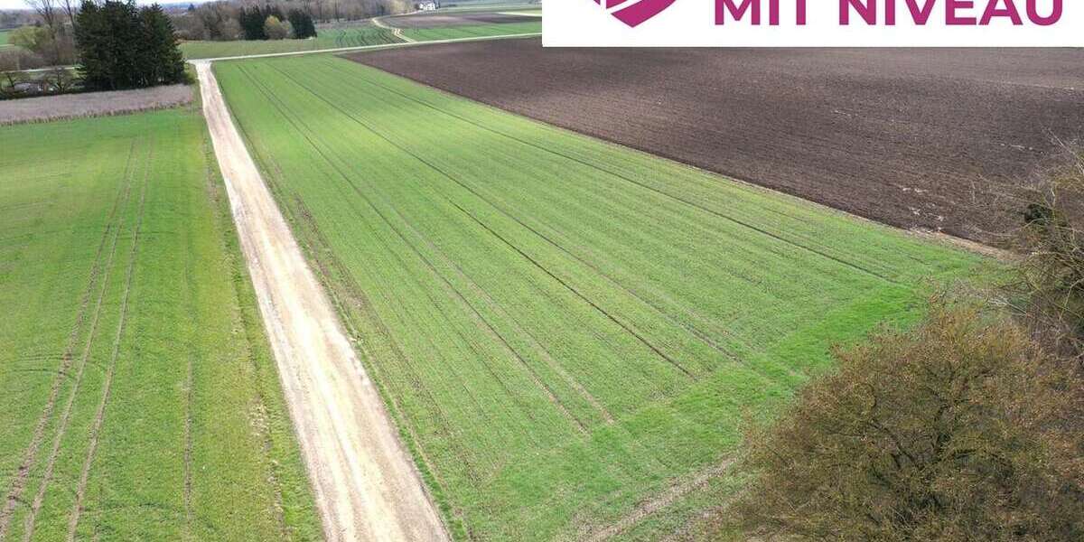 Grundstück Wittislingen - 115.000&euro; | Angebot:26024457