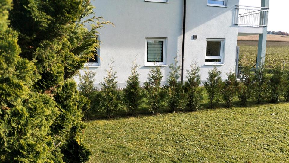 3-Zimmer 84 qm Erdgeschoss Wohnung in Anzenkirchen 3 zimmer