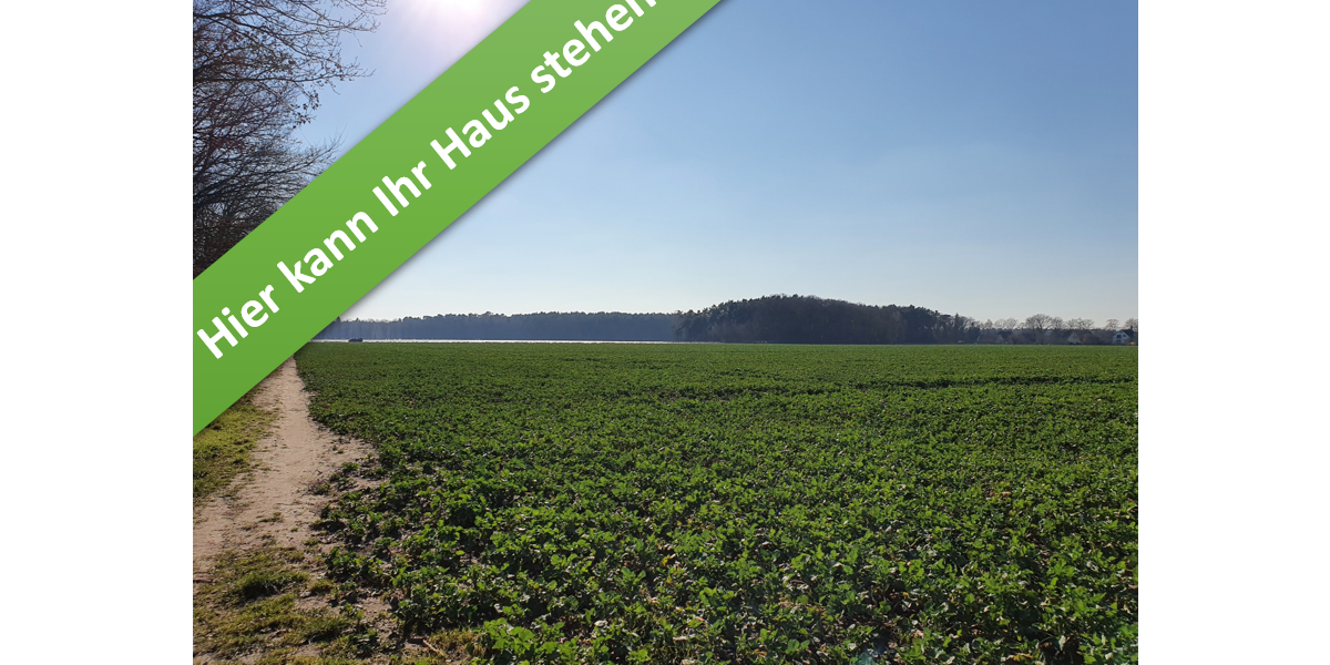 Haus zum Kaufen in Wathlingen 299.350 € 109 m² 4 zimmer