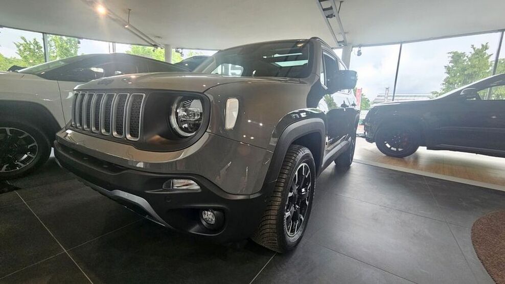 Renegade