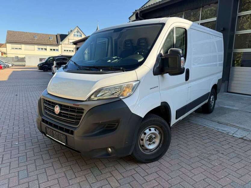 Ducato