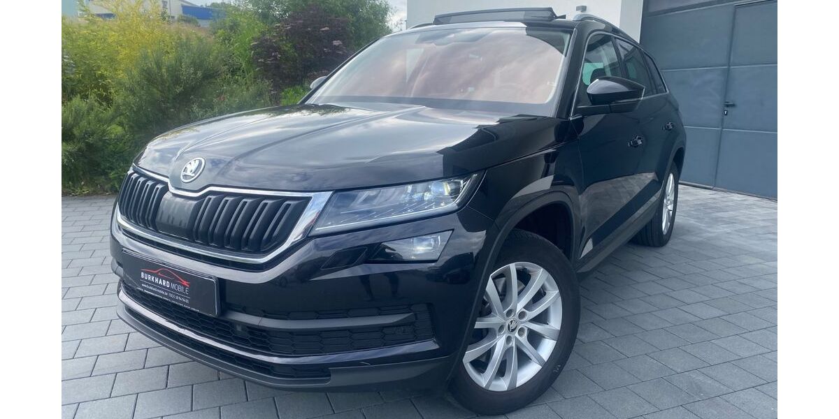 Skoda Kodiaq 247.500 km 16.800 &euro; Parkstein 92711