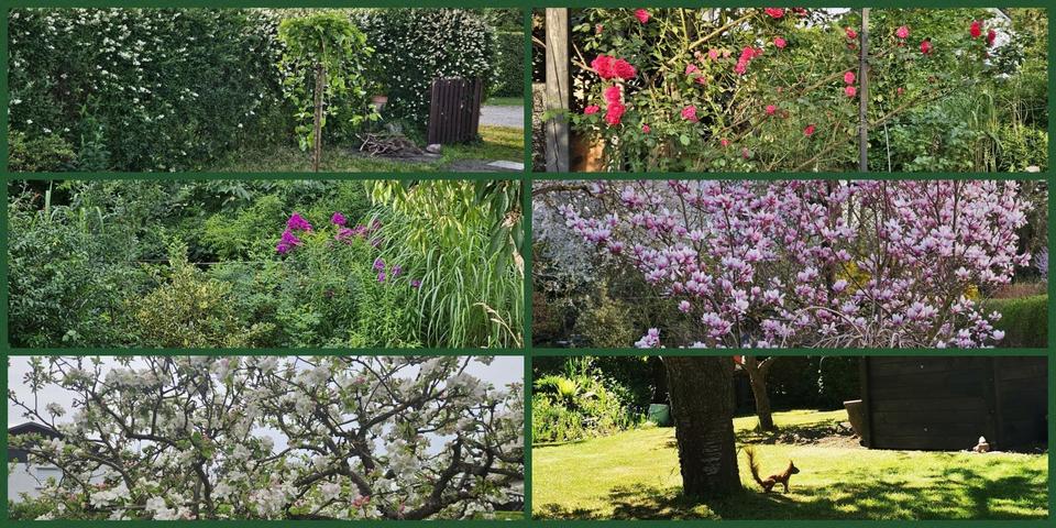 Einfamilienhaus Neuenhagen bei Berlin - 1 Zimmer, 37 m&sup2;, 22.000&euro; | Angebot:24785955