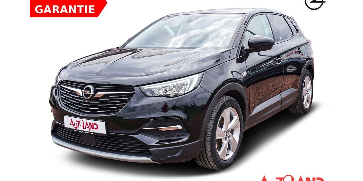 Opel Grandland (X) 74.449 km 19.990 &euro; Naumburg OT Schönburg 06618