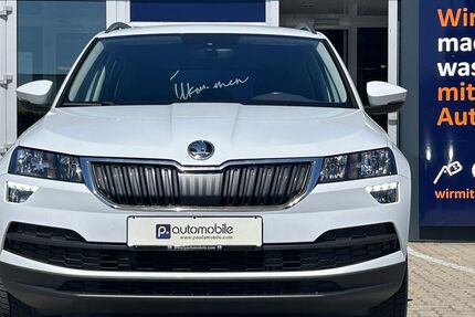 Skoda Karoq 141.000 km 17.980 &euro; Salzgitter 38229