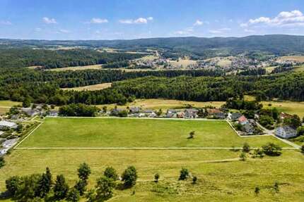 Grundstück Lenzkirch - 900.000&euro; | Angebot:27134887