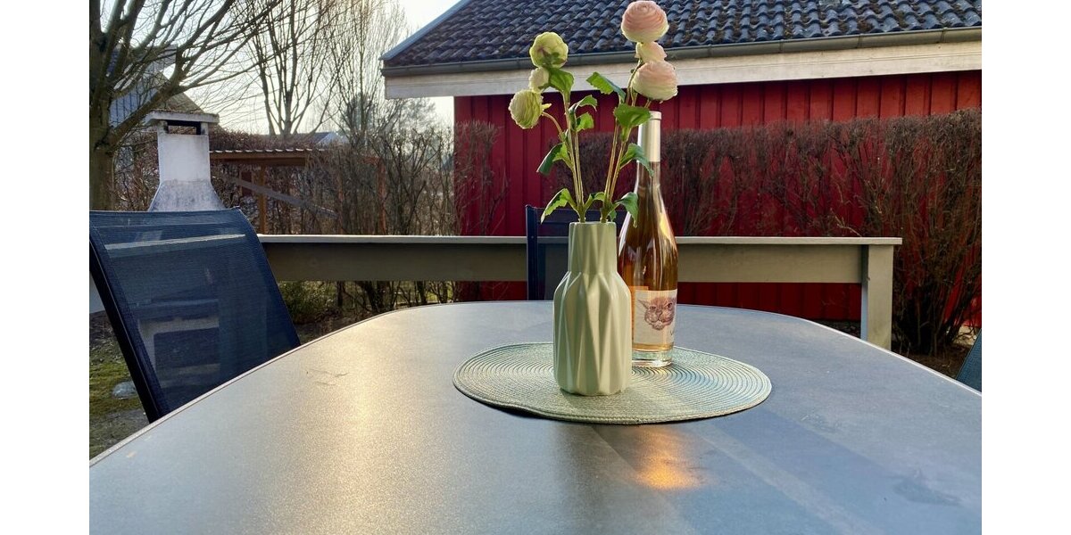 Ferienhaus Nr. 281 im Ferienpark Mirow - zentrale Lage, modernisiert - Einfamilienhaus Mirow | Angebot:19998637