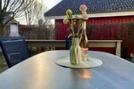 Ferienhaus Nr. 281 im Ferienpark Mirow - zentrale Lage, modernisiert - Einfamilienhaus Mirow | Angebot:19998637