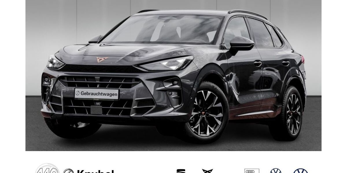 Cupra Terramar 19.437 km 32.980 &euro; Münster 48163