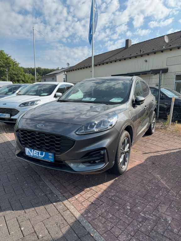 Kuga