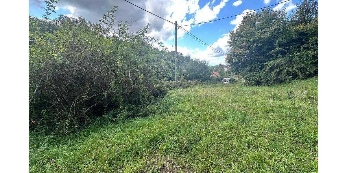 Traumgrundstück mit kleinem Wohn- und Wochenendhaus zimmer