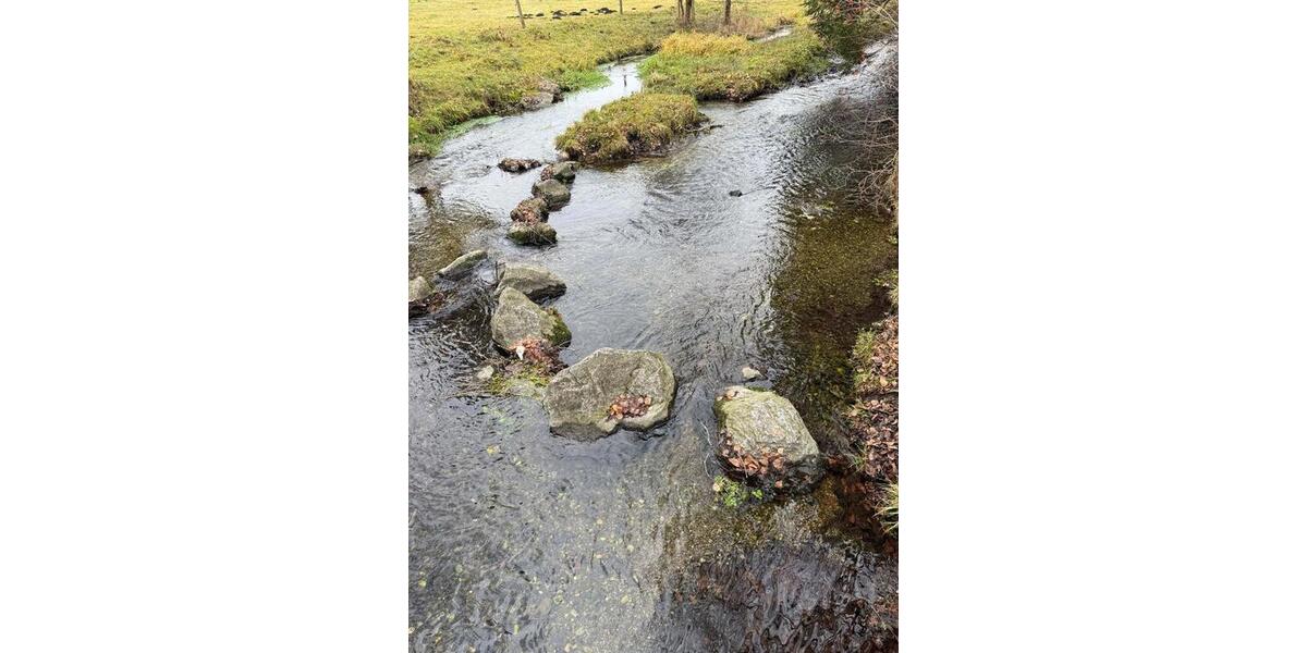 Gewerbeobjekt Markt Schwaben - 800&euro; | Angebot:24103872