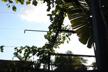 Haus Pfungstadt - 5 Zimmer, 260 m&sup2;, 300.000&euro; | Angebot:24476574