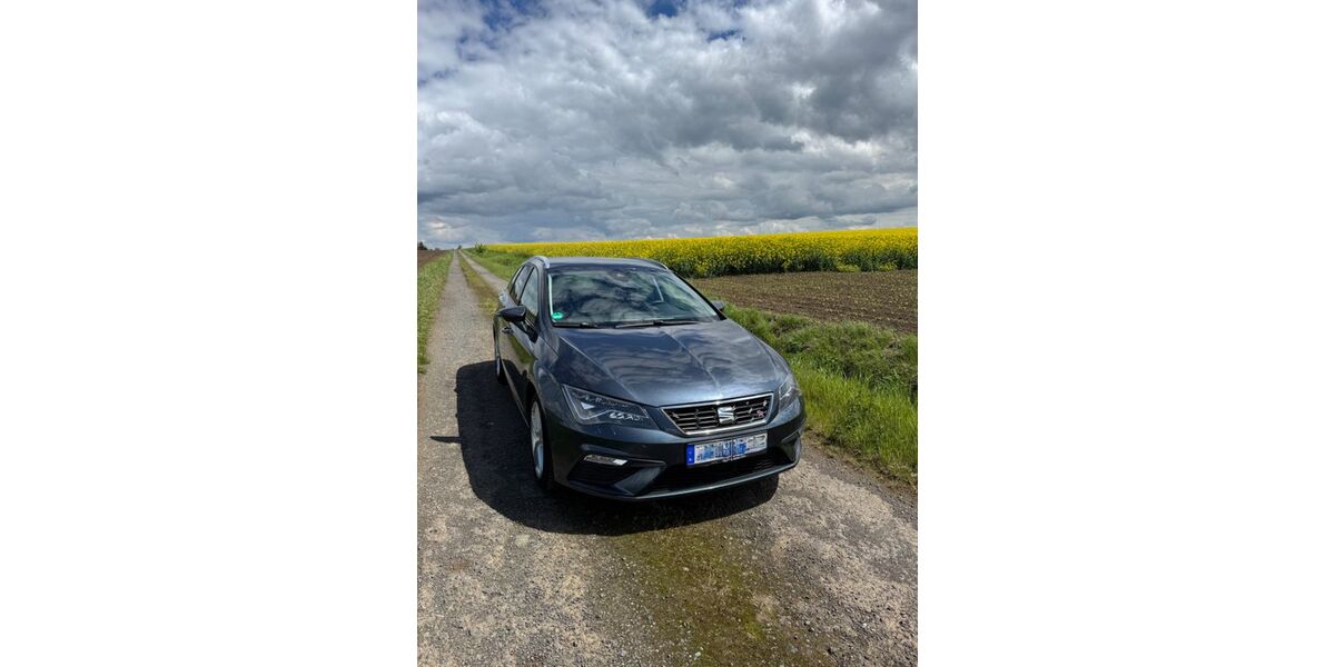 Seat Leon 79.999 km 14.250 &euro; Holle 31188