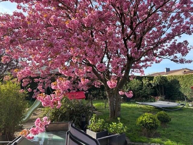 Einfamilienhaus Laage - 4 Zimmer, 135 m&sup2;, 450.000&euro; | Angebot:25245525