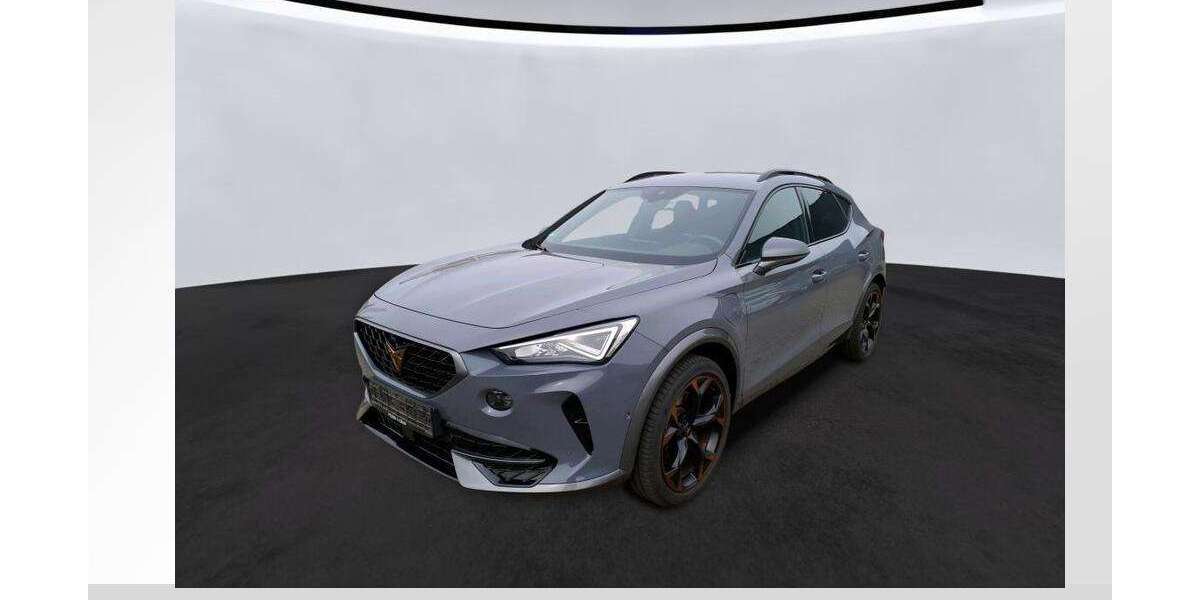 Cupra Formentor 40.266 km 23.940 &euro; Magdeburg 39126