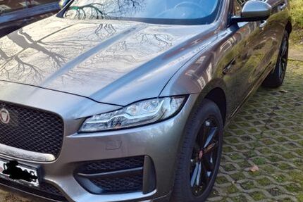 Jaguar F-Pace 99.099 km 26.300 &euro; Heeslingen 27404